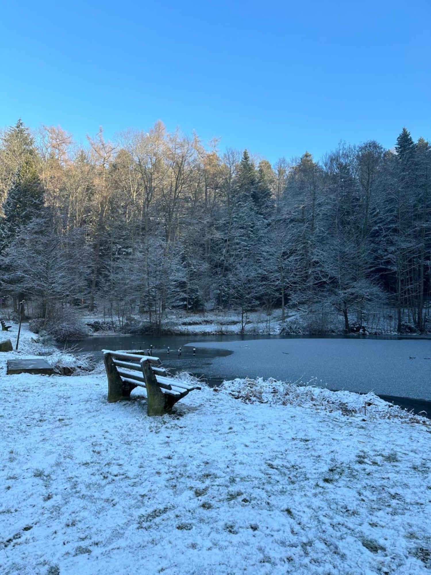 Fewo “Ruhige Momente” In Waldkirch Εξωτερικό φωτογραφία