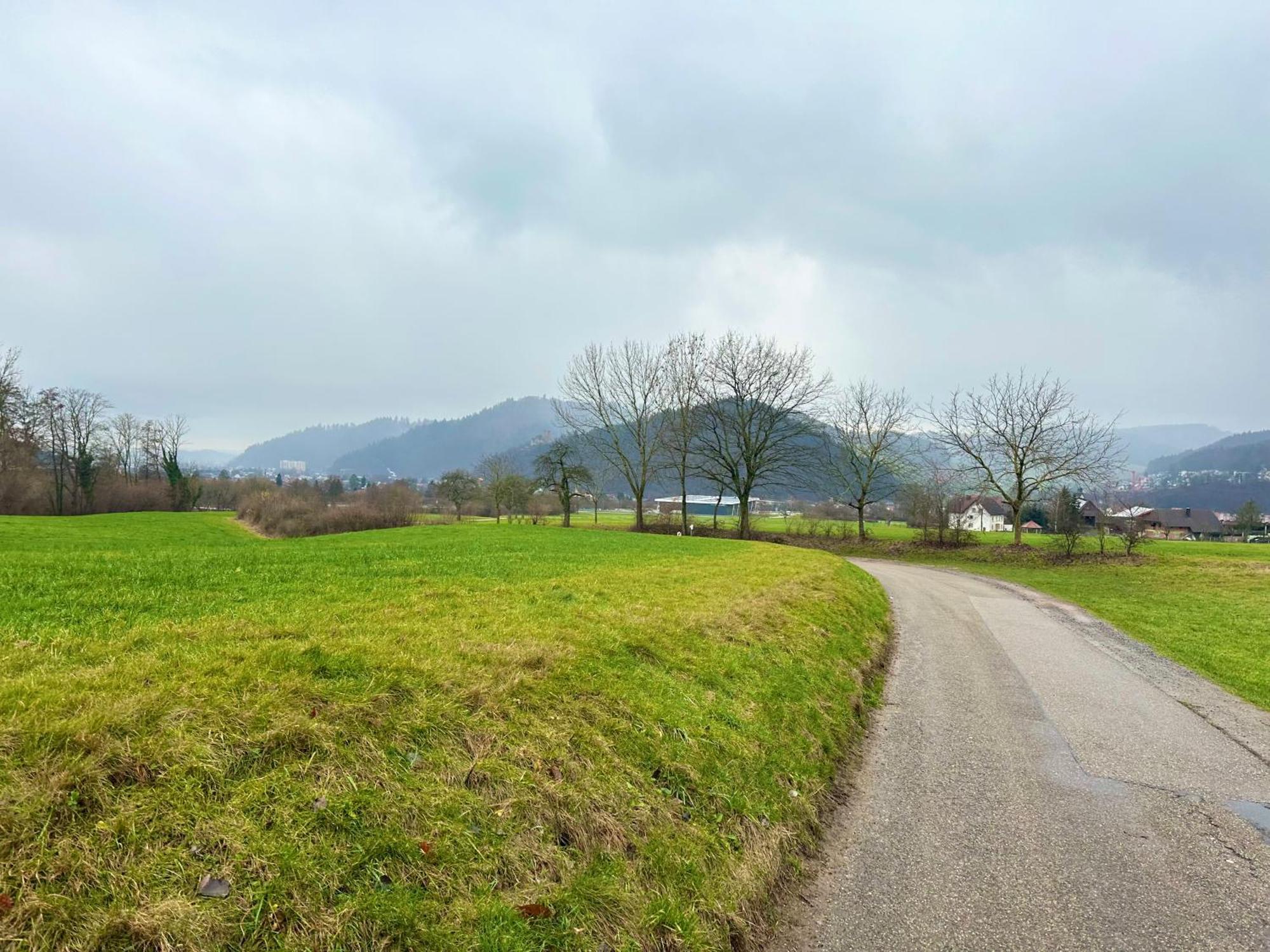 Fewo “Ruhige Momente” In Waldkirch Εξωτερικό φωτογραφία