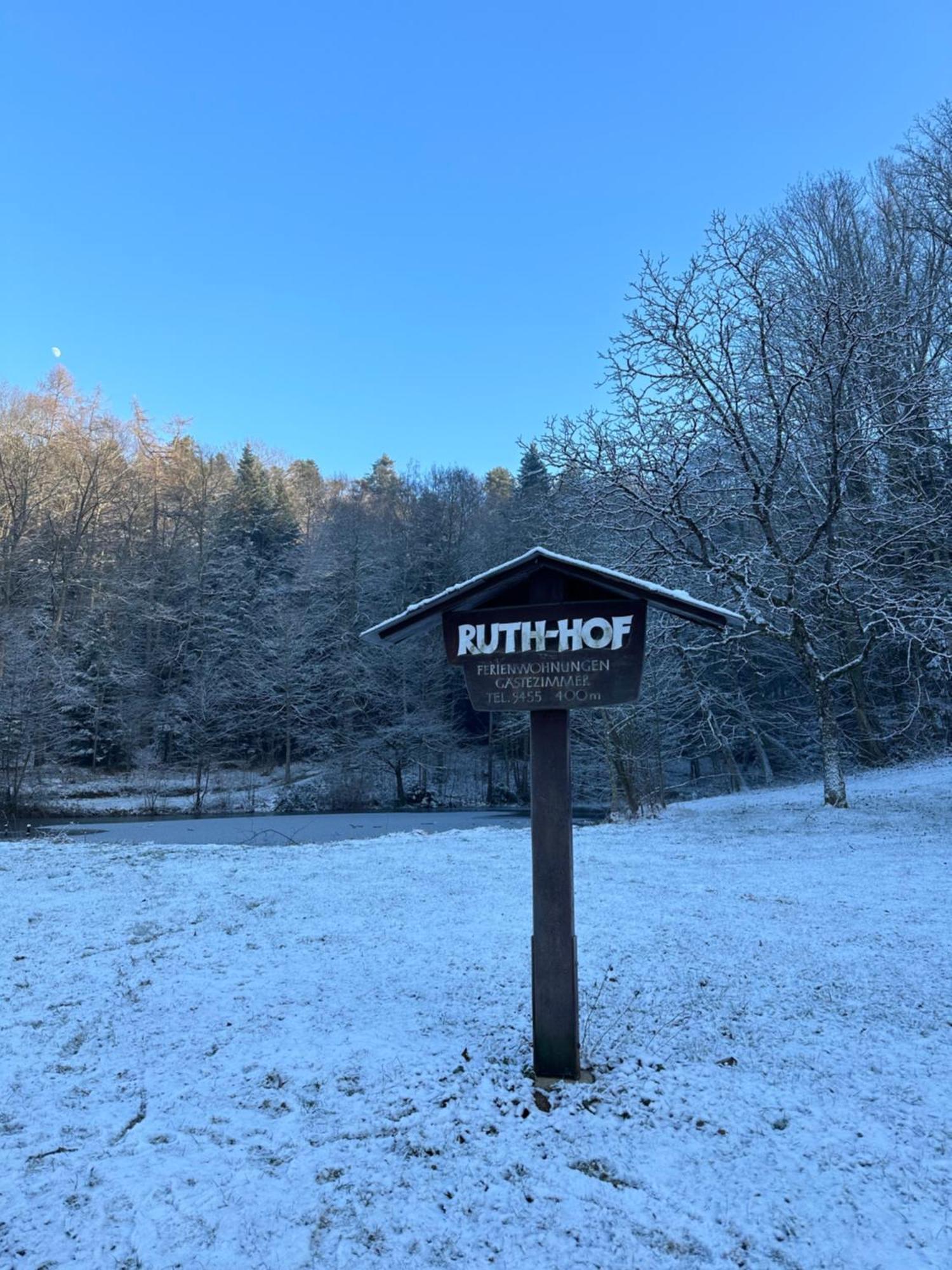 Fewo “Ruhige Momente” In Waldkirch Εξωτερικό φωτογραφία